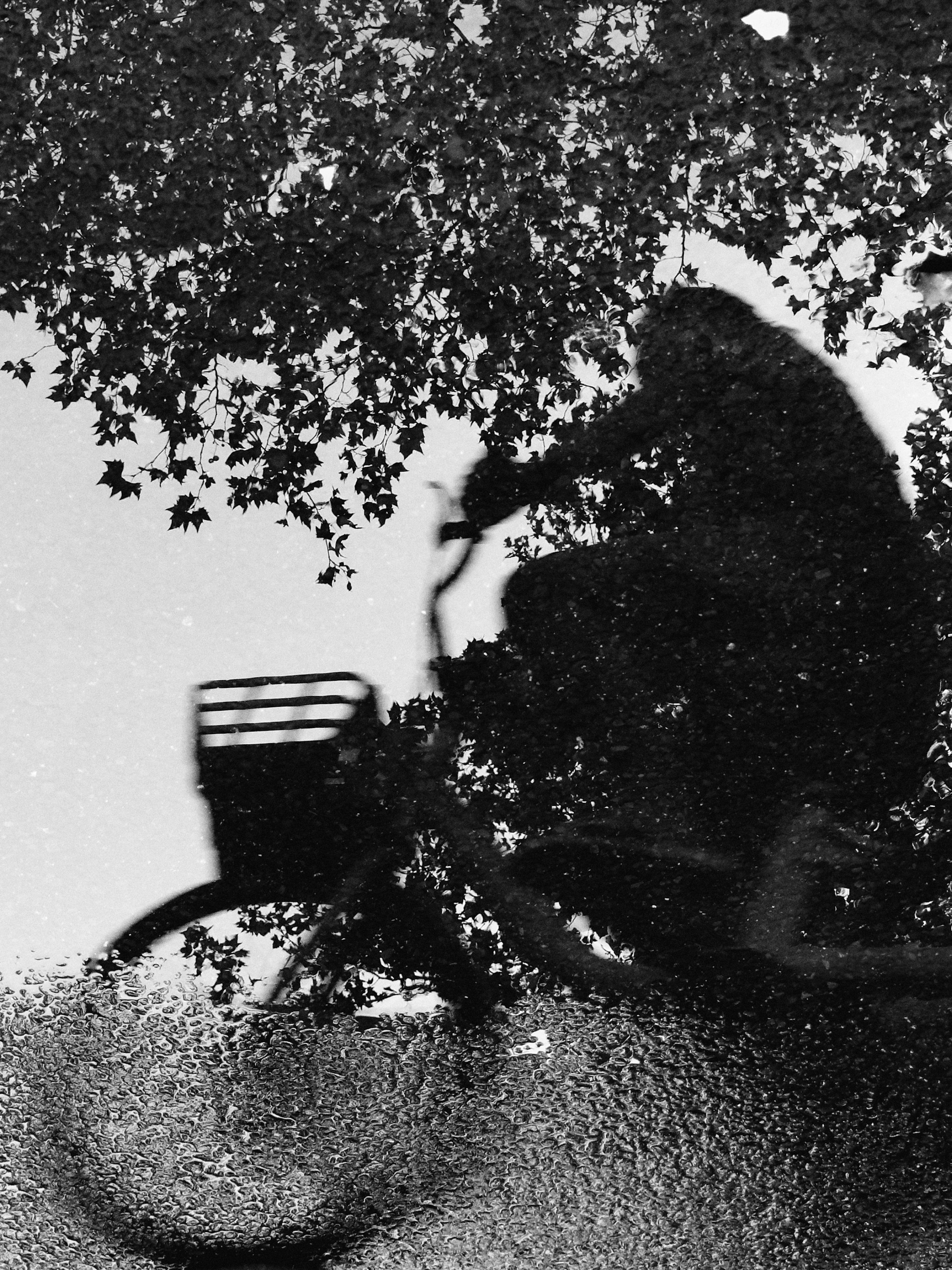 Stillness & Silence 23