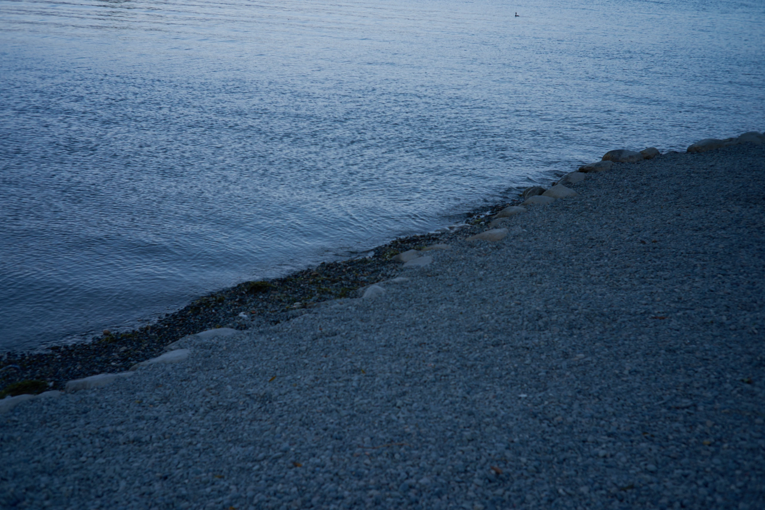 Stillness & Silence 1