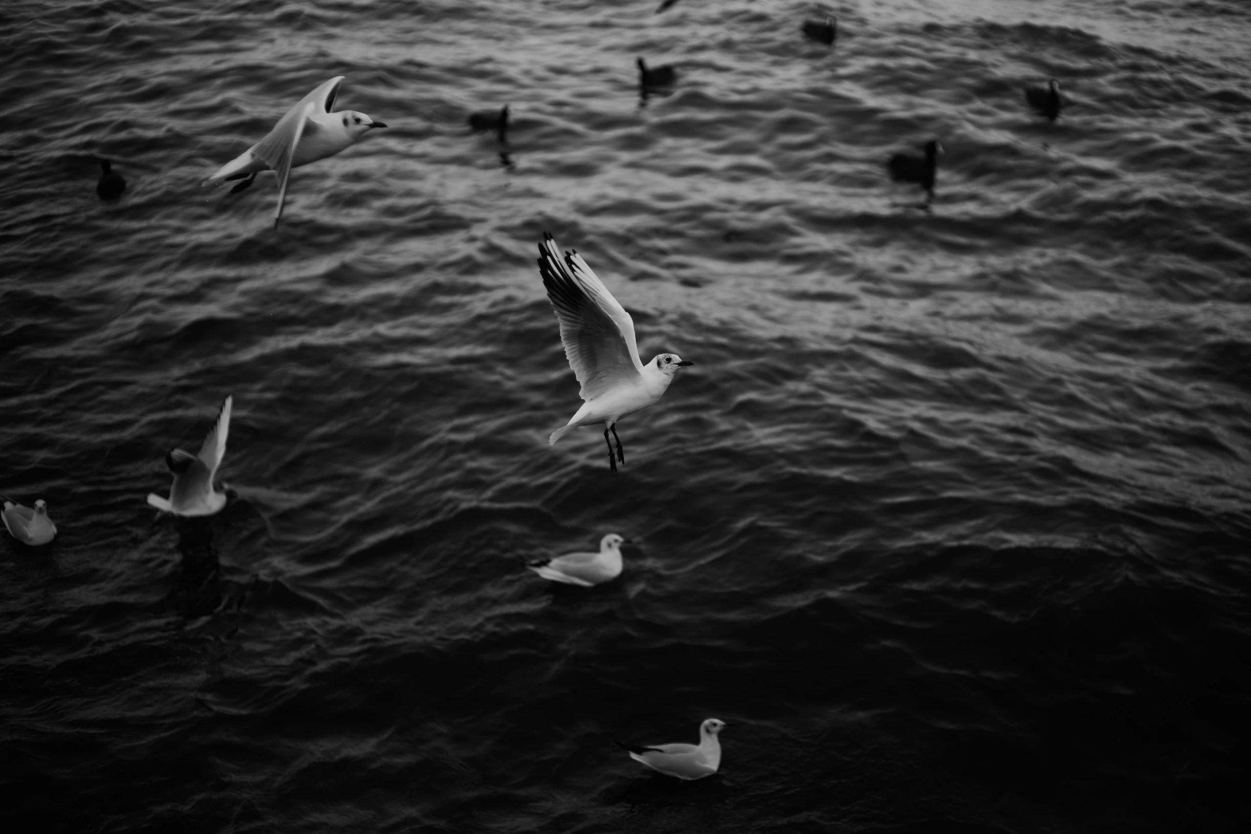 Stillness & Silence 4