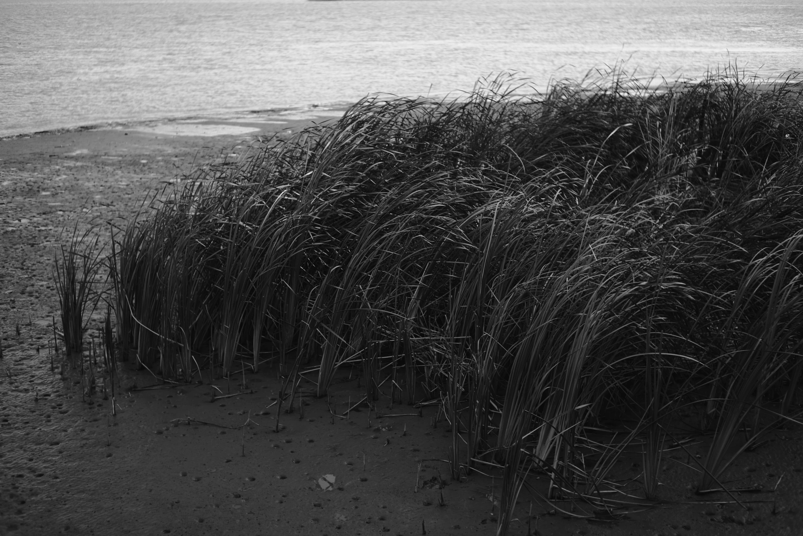 Stillness & Silence 3