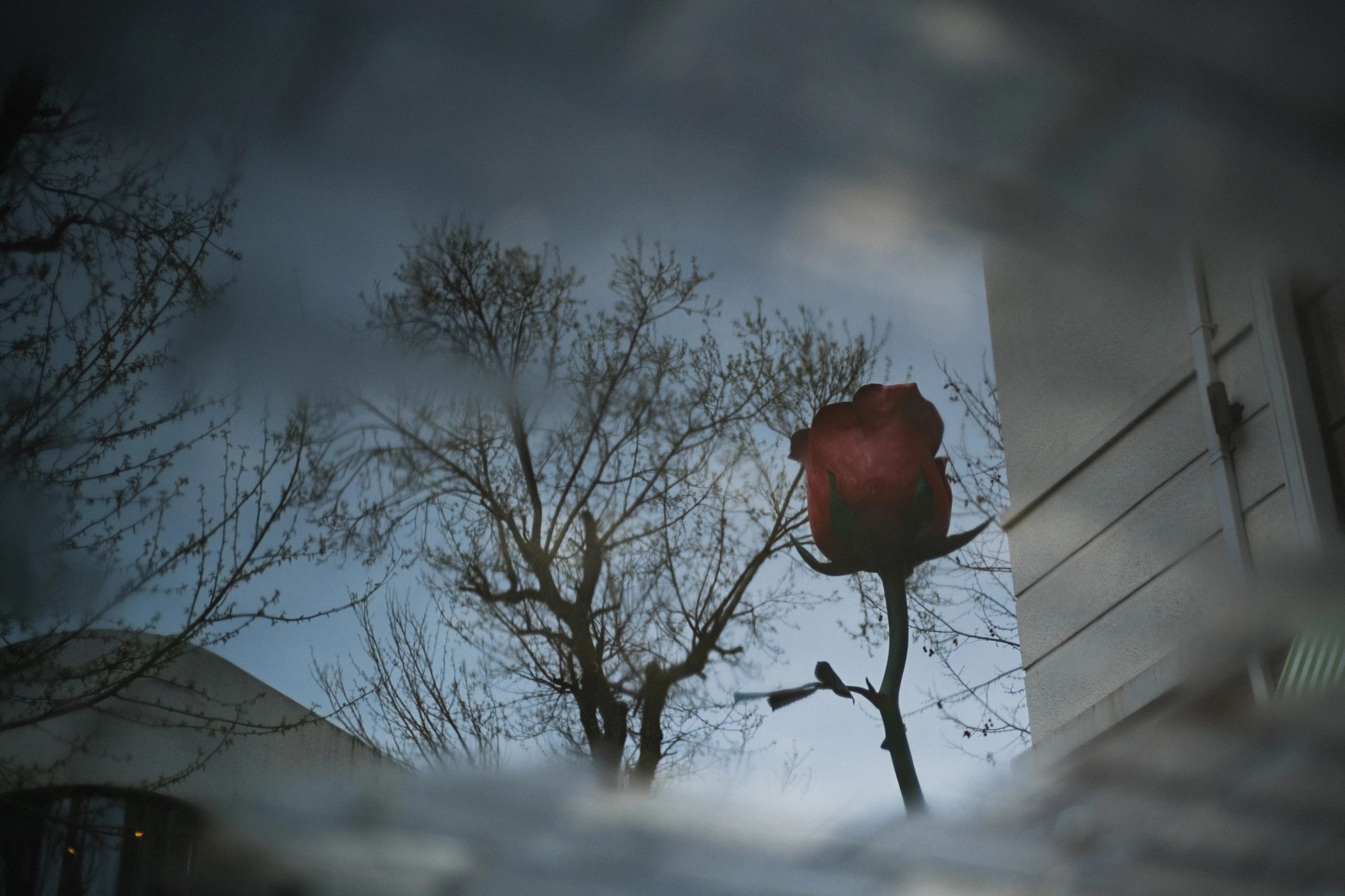 Stillness & Silence 2