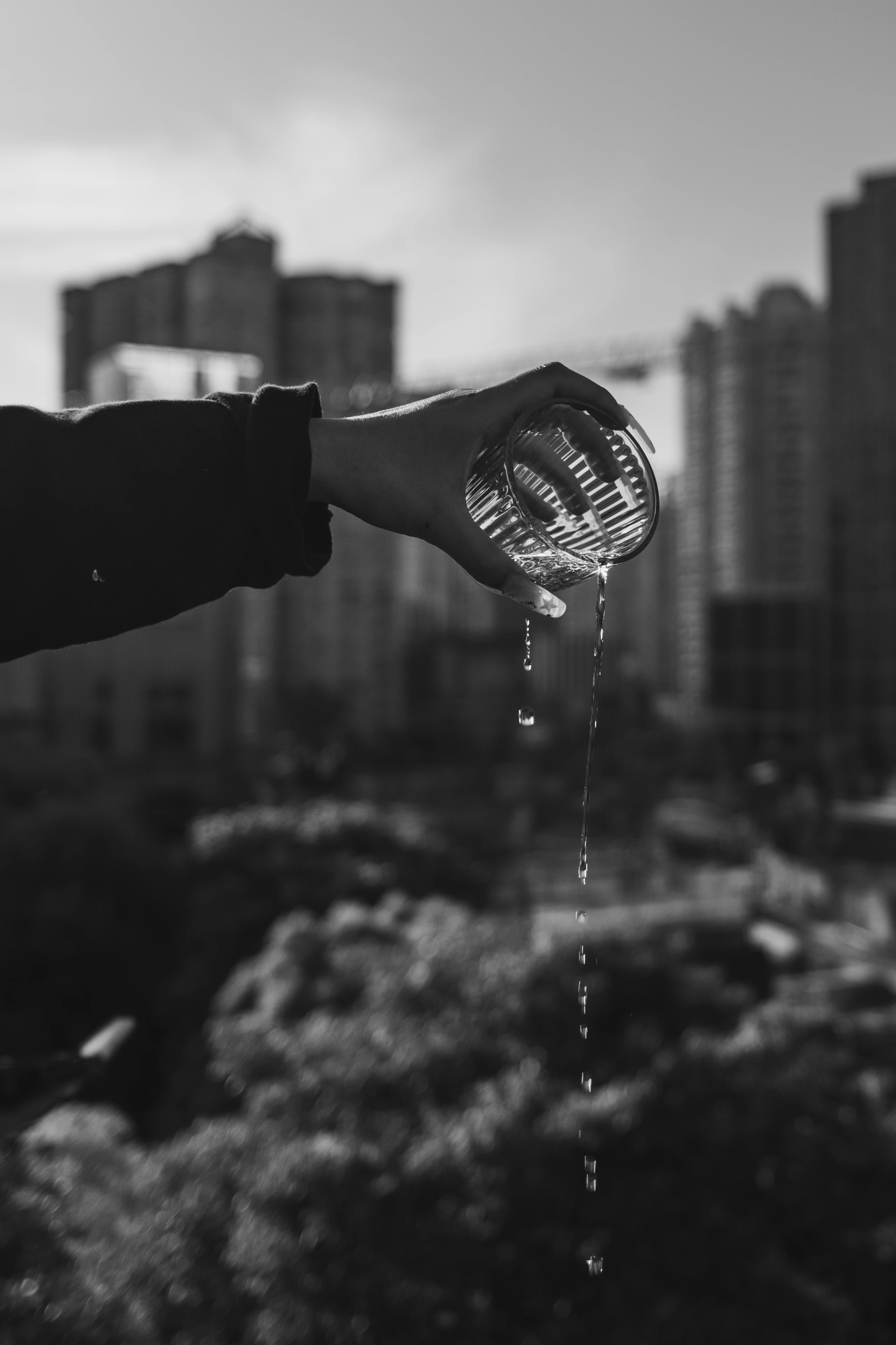 Stillness & Silence 12