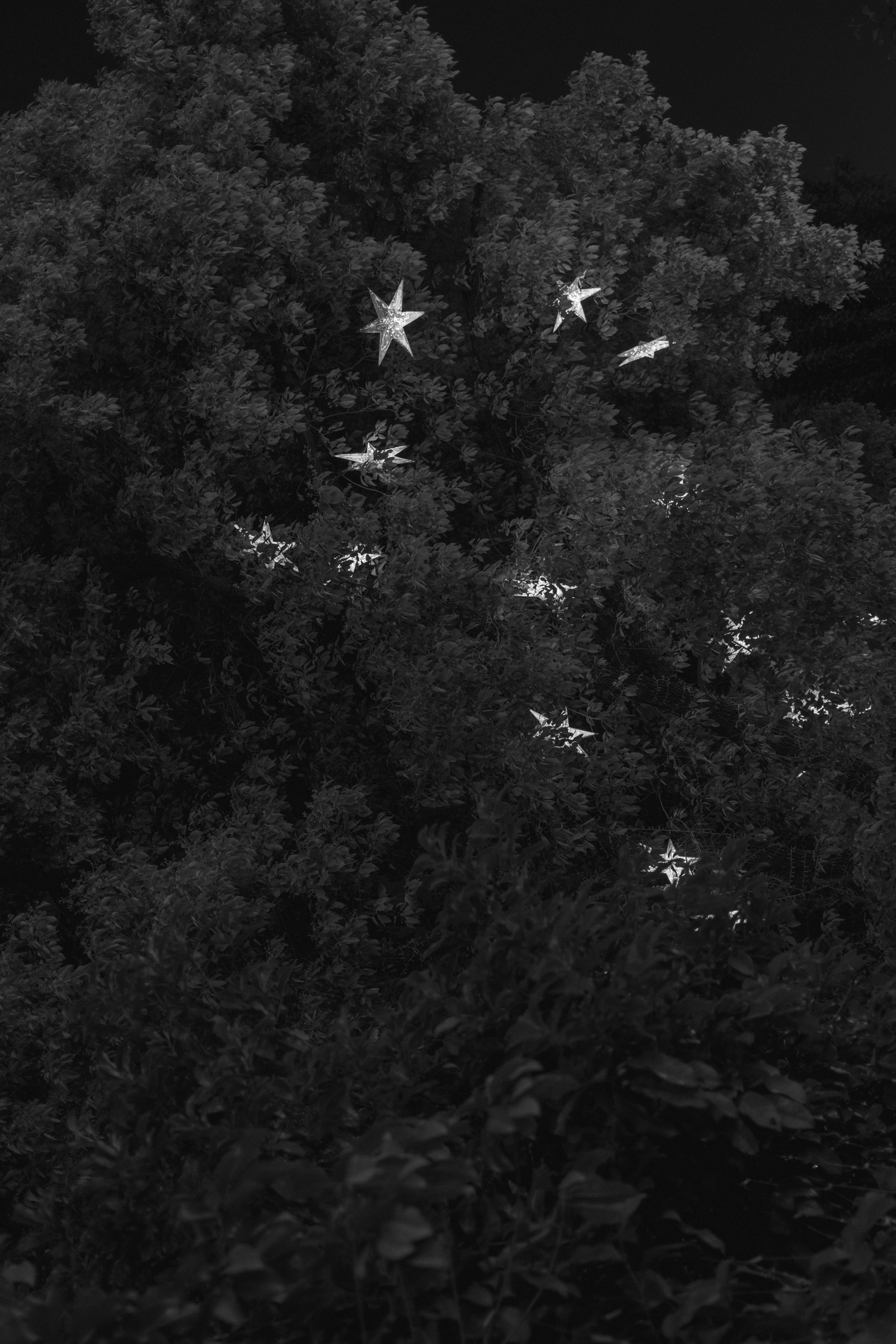 Stillness & Silence 10