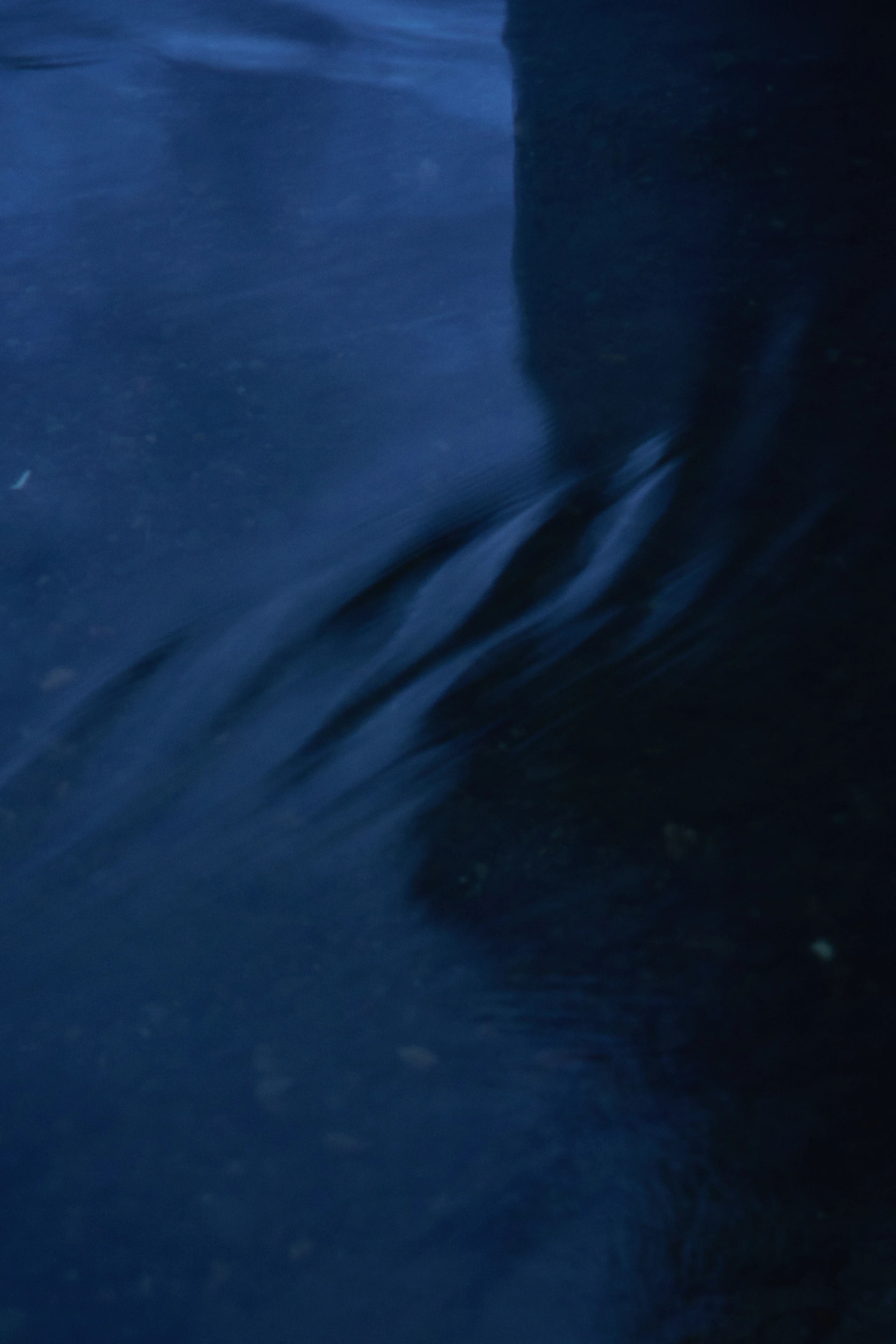 Stillness & Silence 21