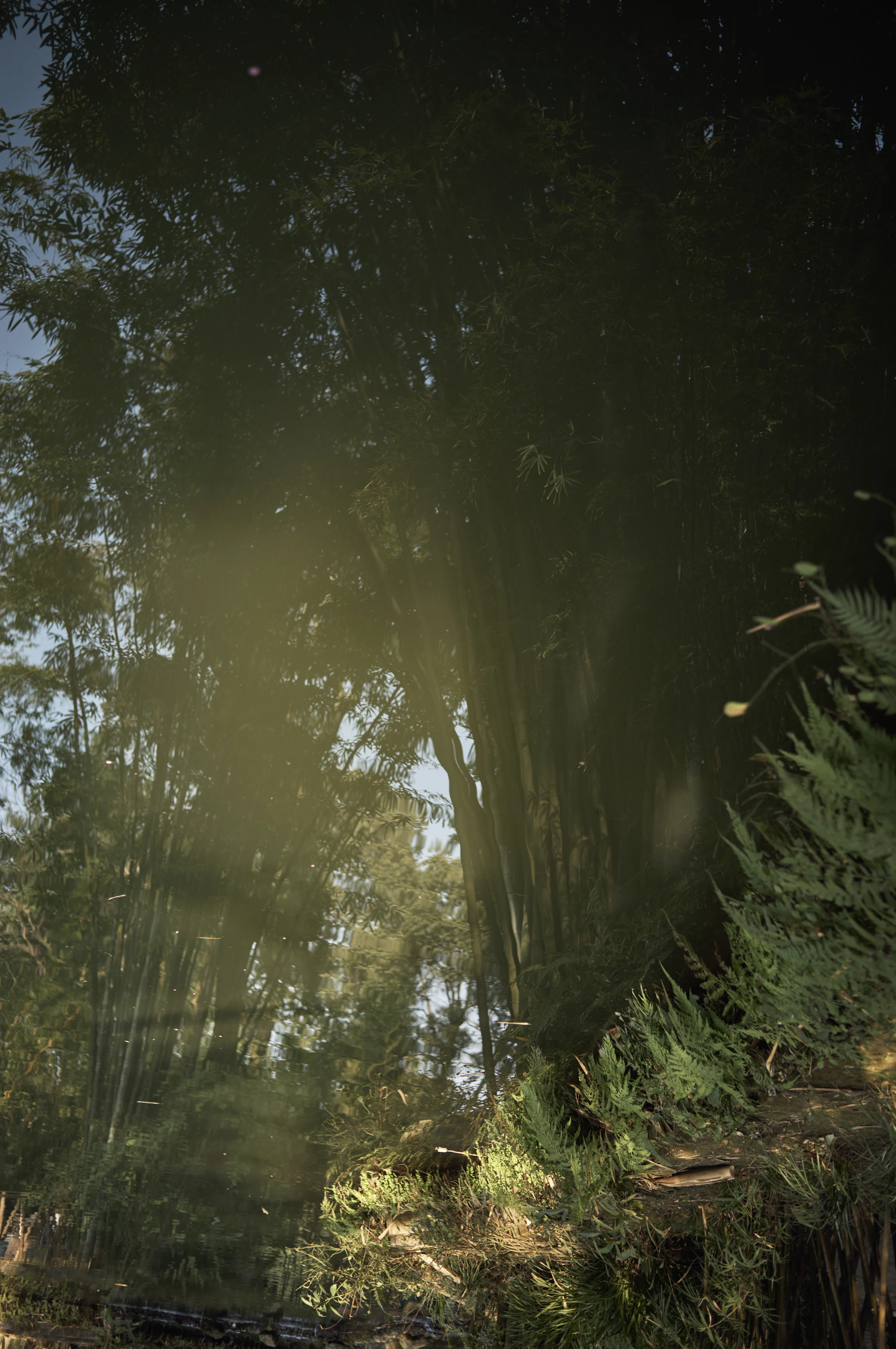 Stillness & Silence 22