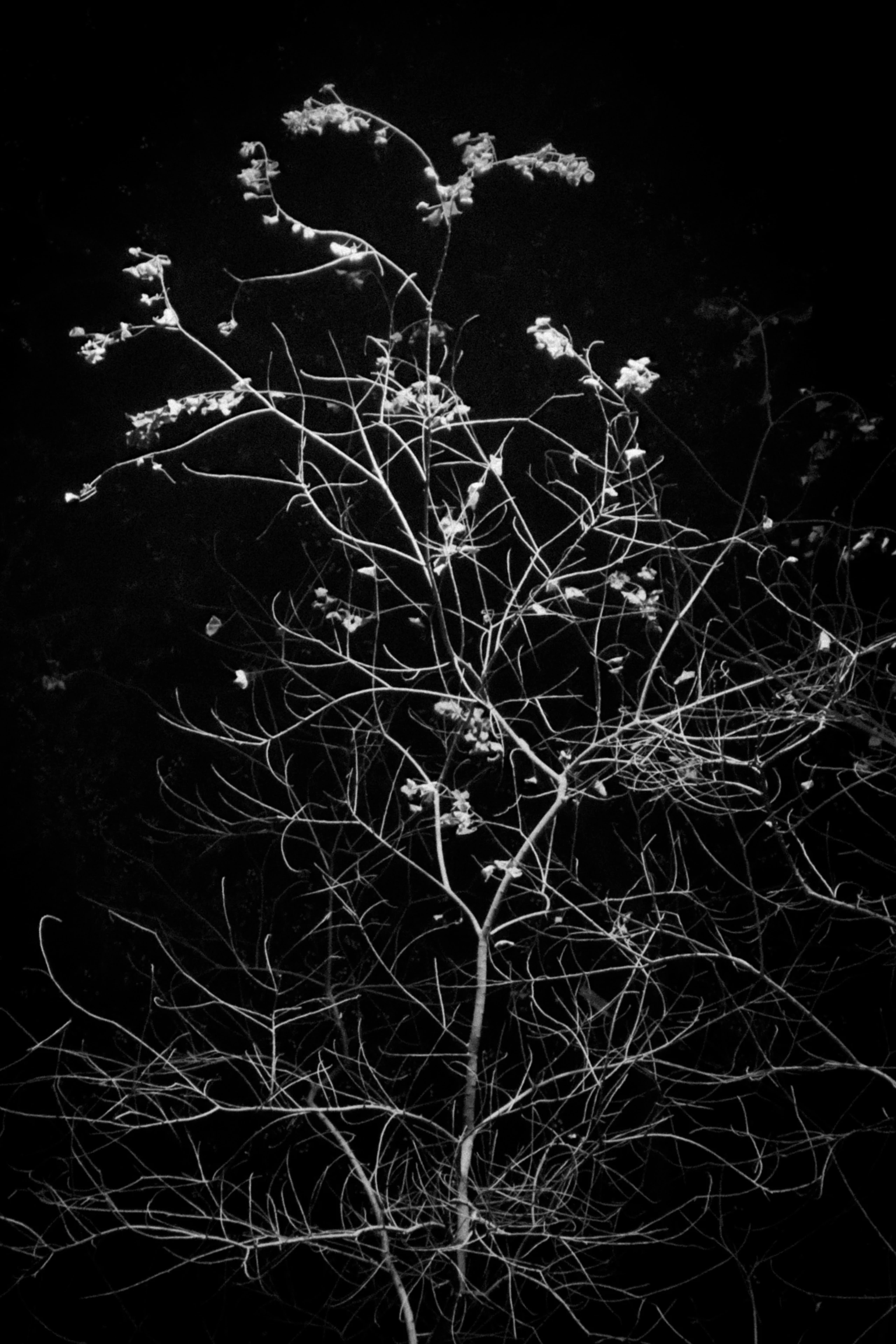 Stillness & Silence 11