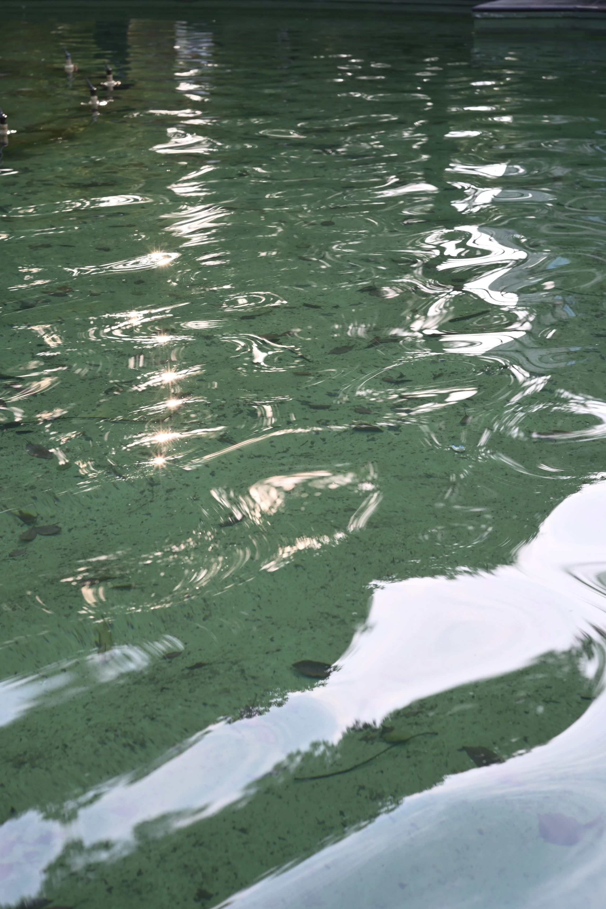 Stillness & Silence 20