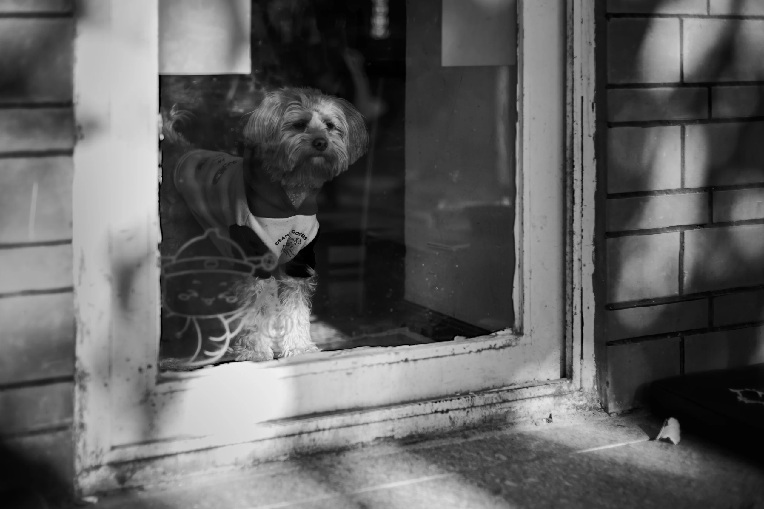 Stillness & Silence 26