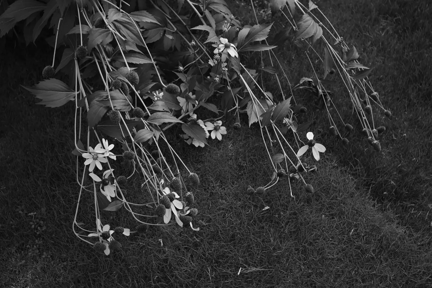 Stillness & Silence 9