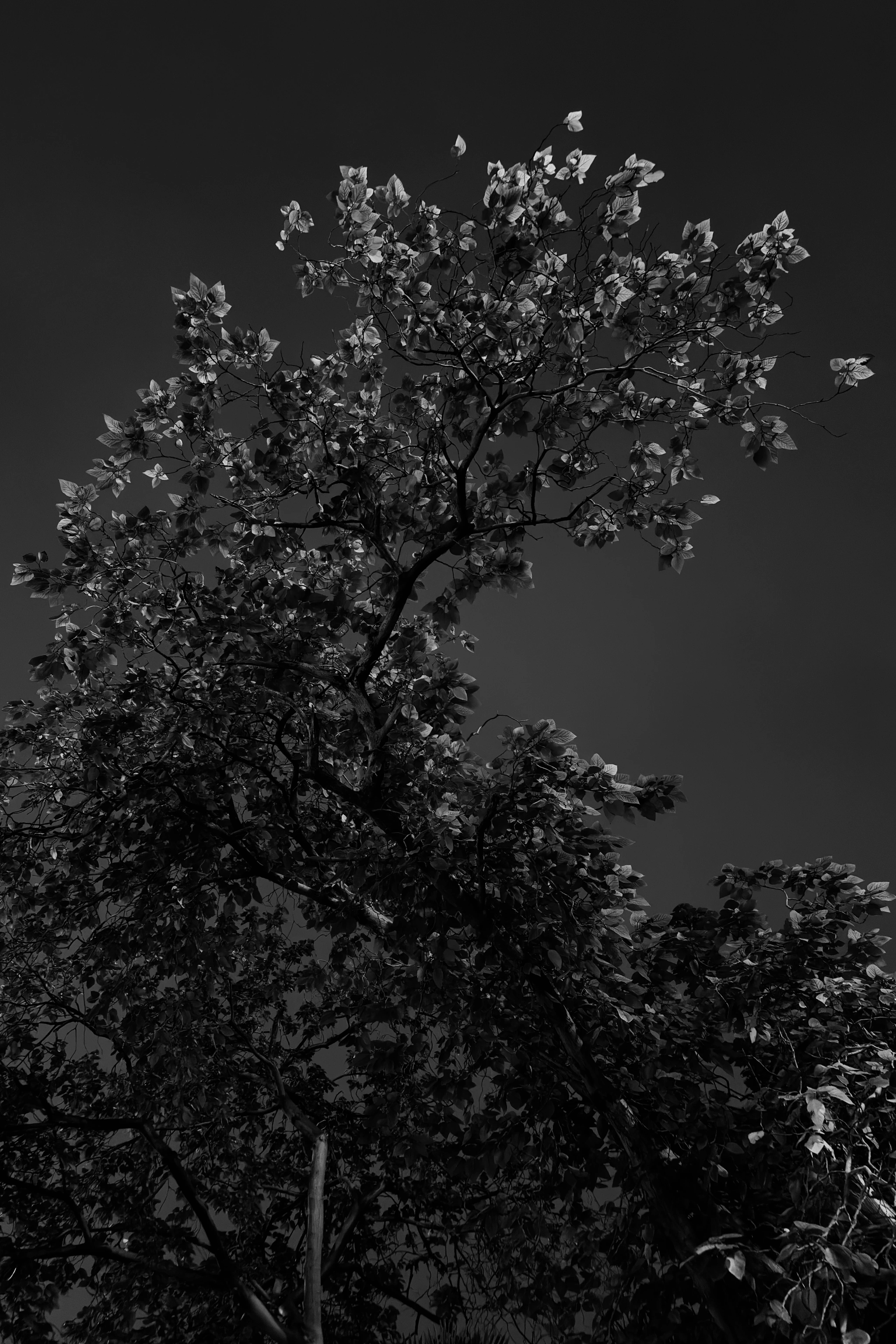 Stillness & Silence 25