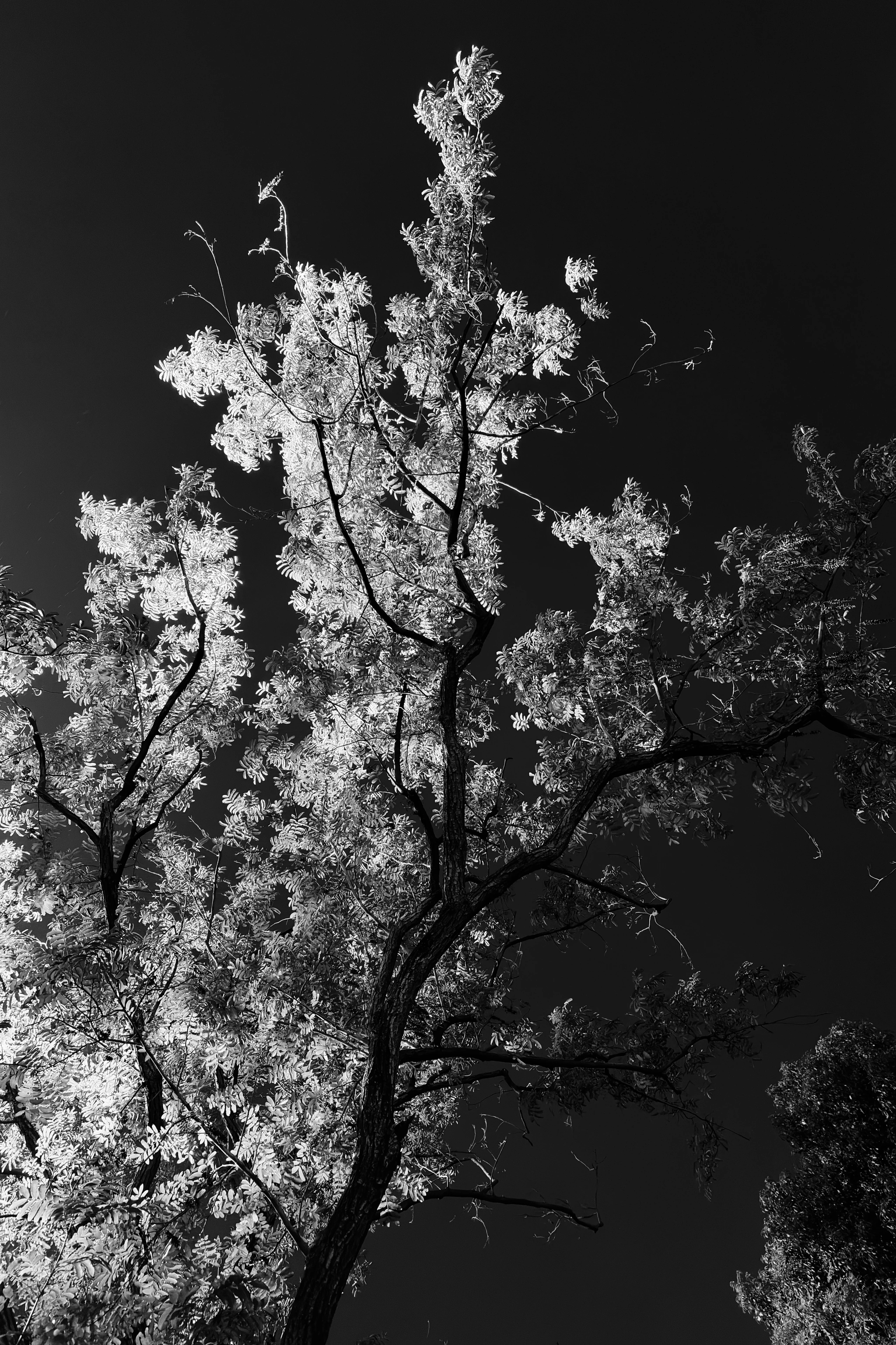 Stillness & Silence 27