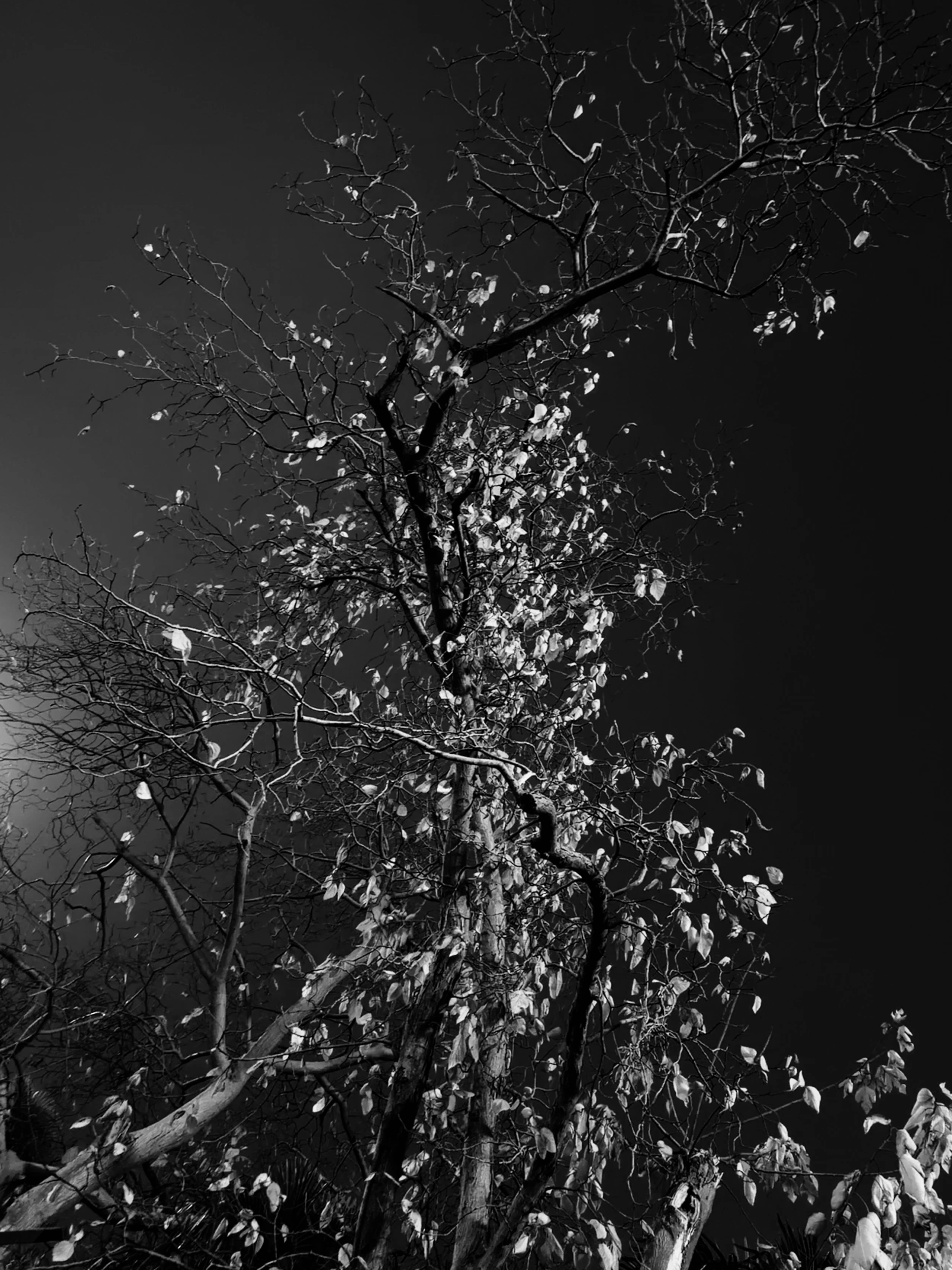 Stillness & Silence 28