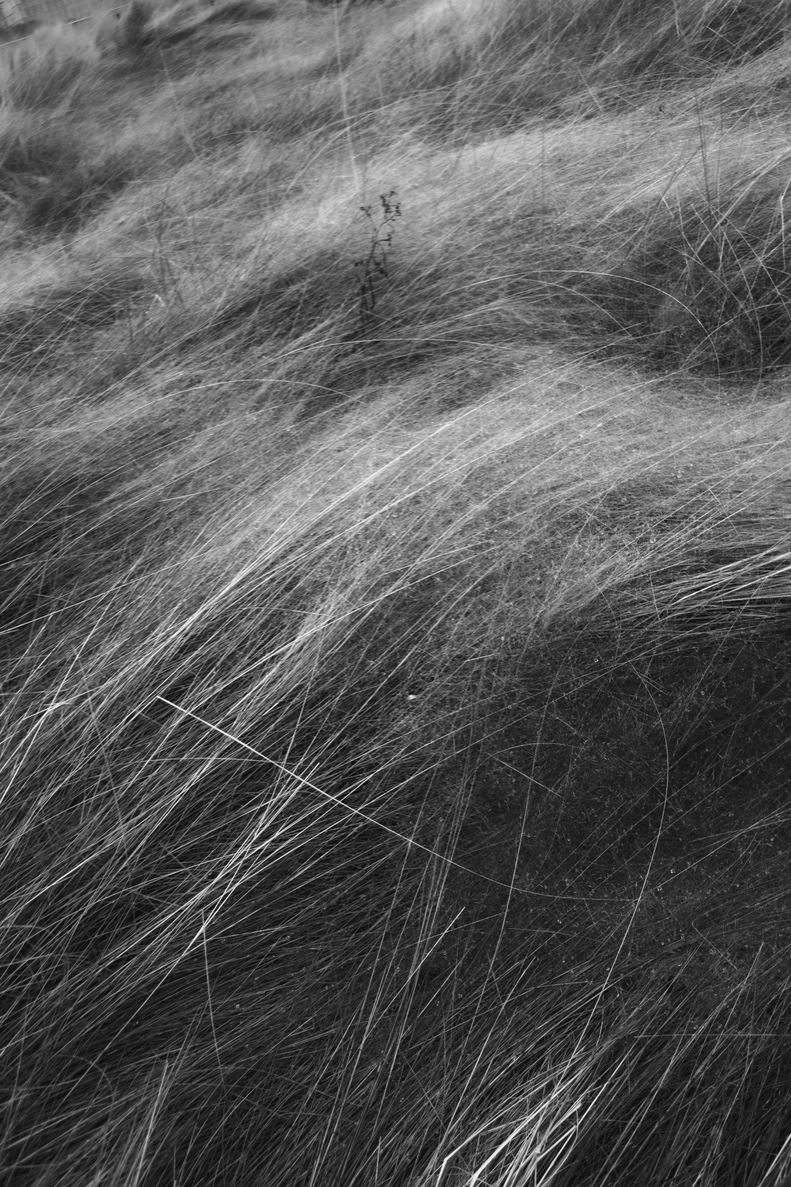 Stillness & Silence 17